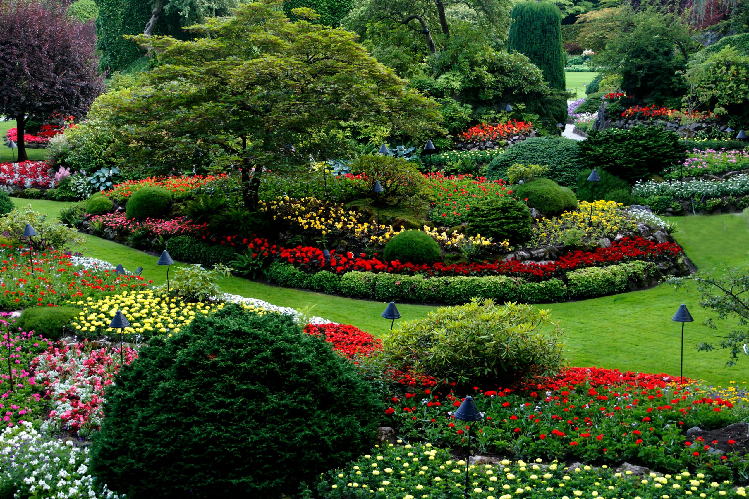 Green Horizon Commercial Landscaping Green Horizon Commercial Landscaping