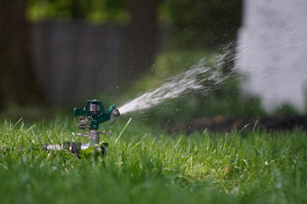 Green Horizon Best Time to Water Your Lawn Blog